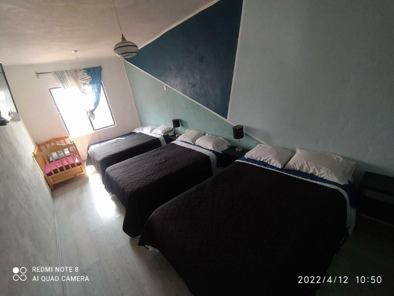 Hotel Vithez แทมปิโก ภายนอก รูปภาพ